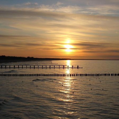 Wohnung 9 Meer-Ruhe Im Haus Stranddistel Komfortable Ferienwohnung Im 1 Og Fuer 4 Personen In ซิงสท์ ภายนอก รูปภาพ